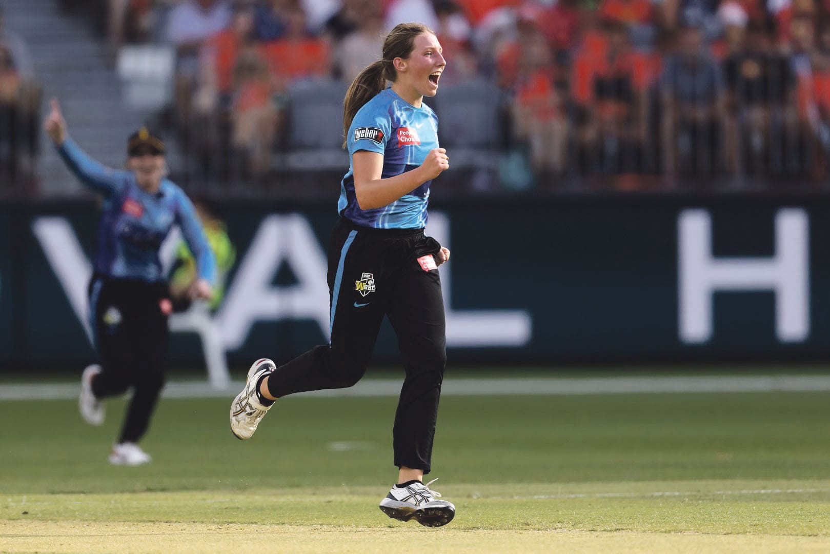 Darcie to entertain us