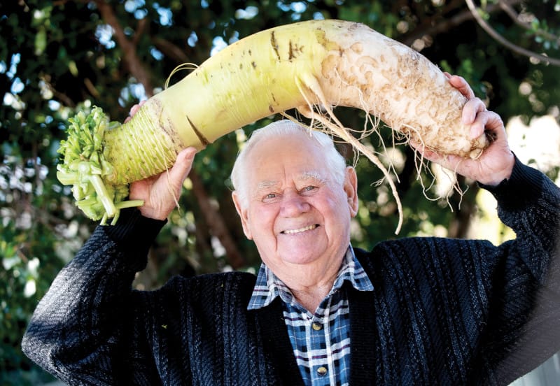 Ripper radish has Merv staggered