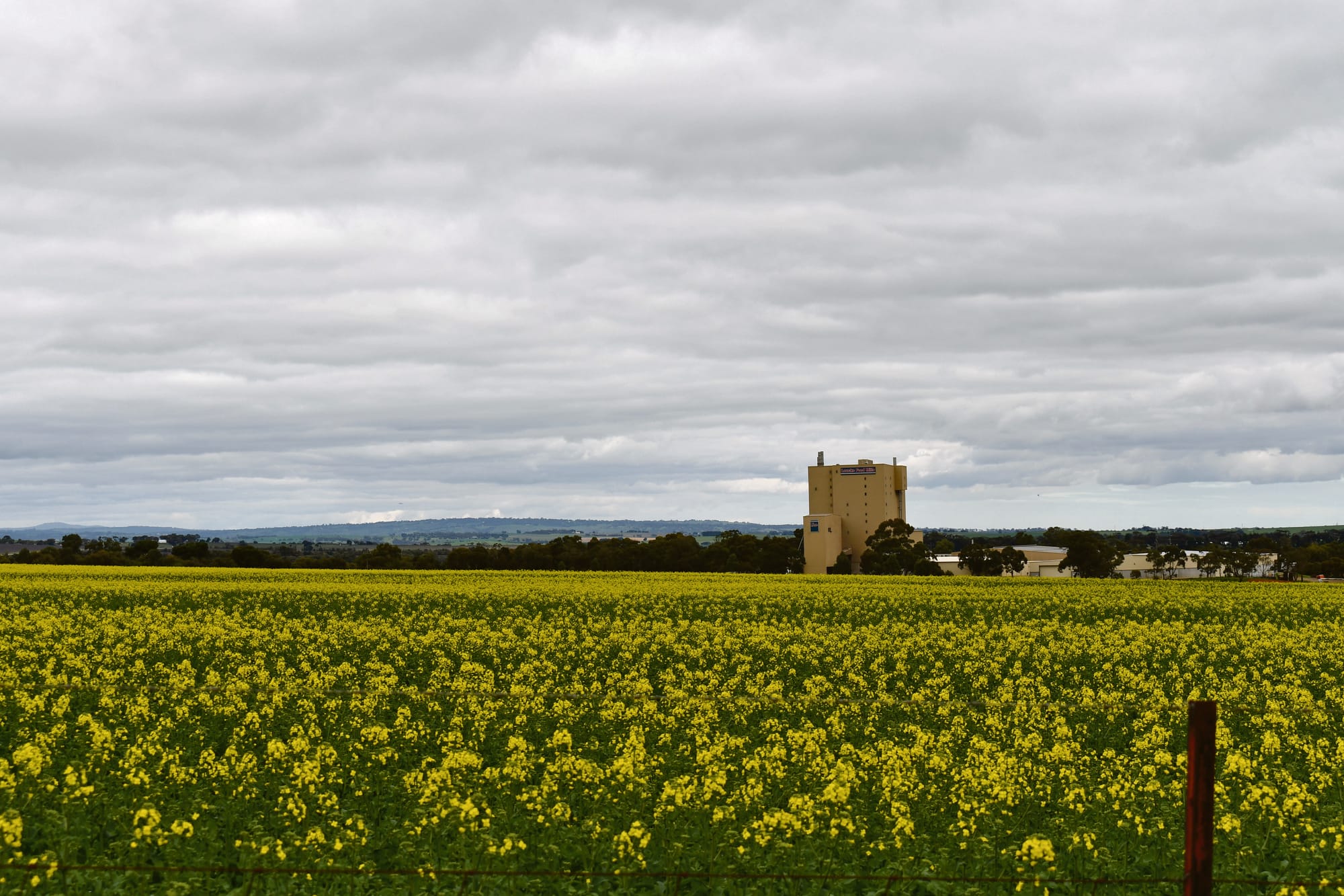 Grain farmers reap a reprieve