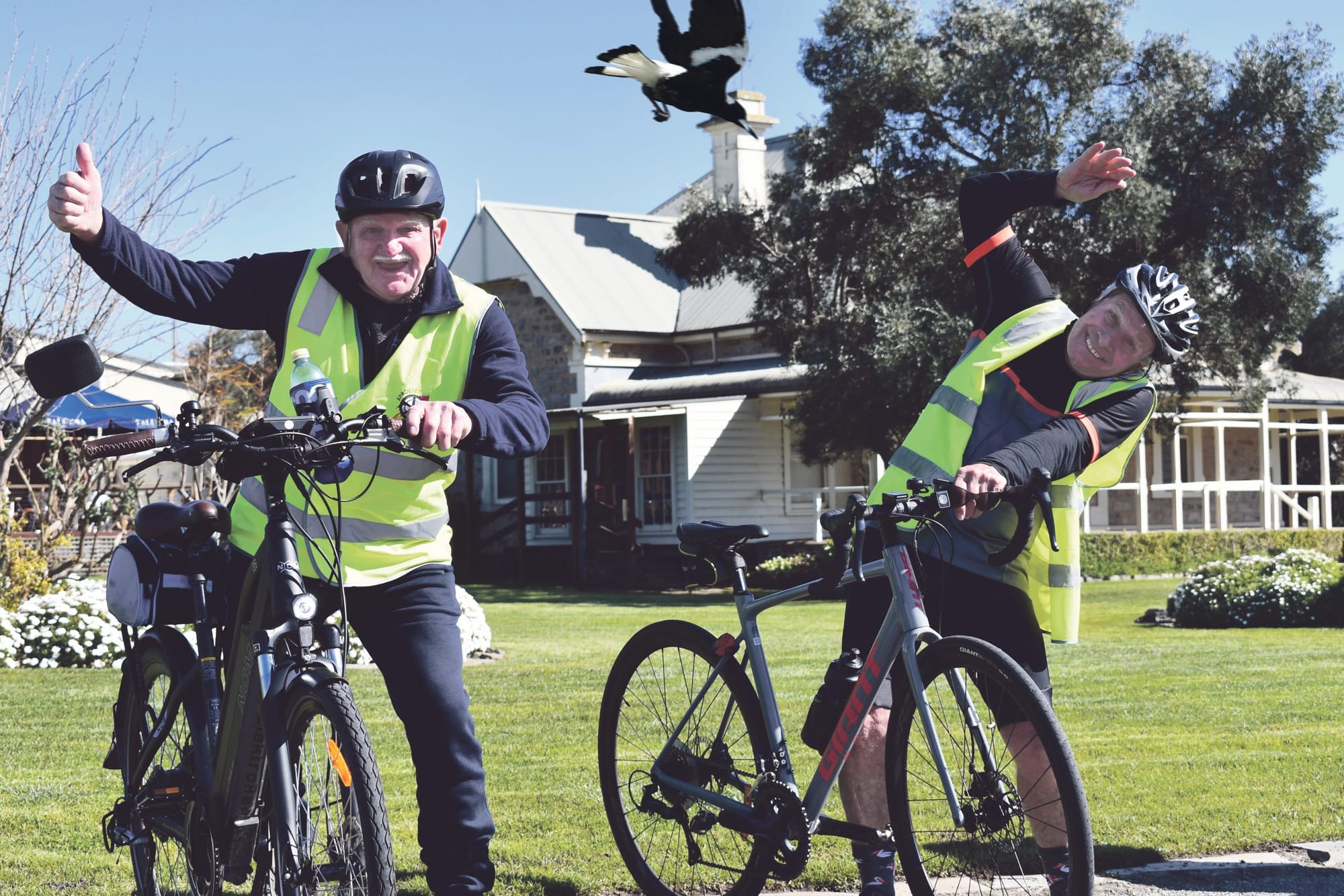 Look out for ’pies in the sky!