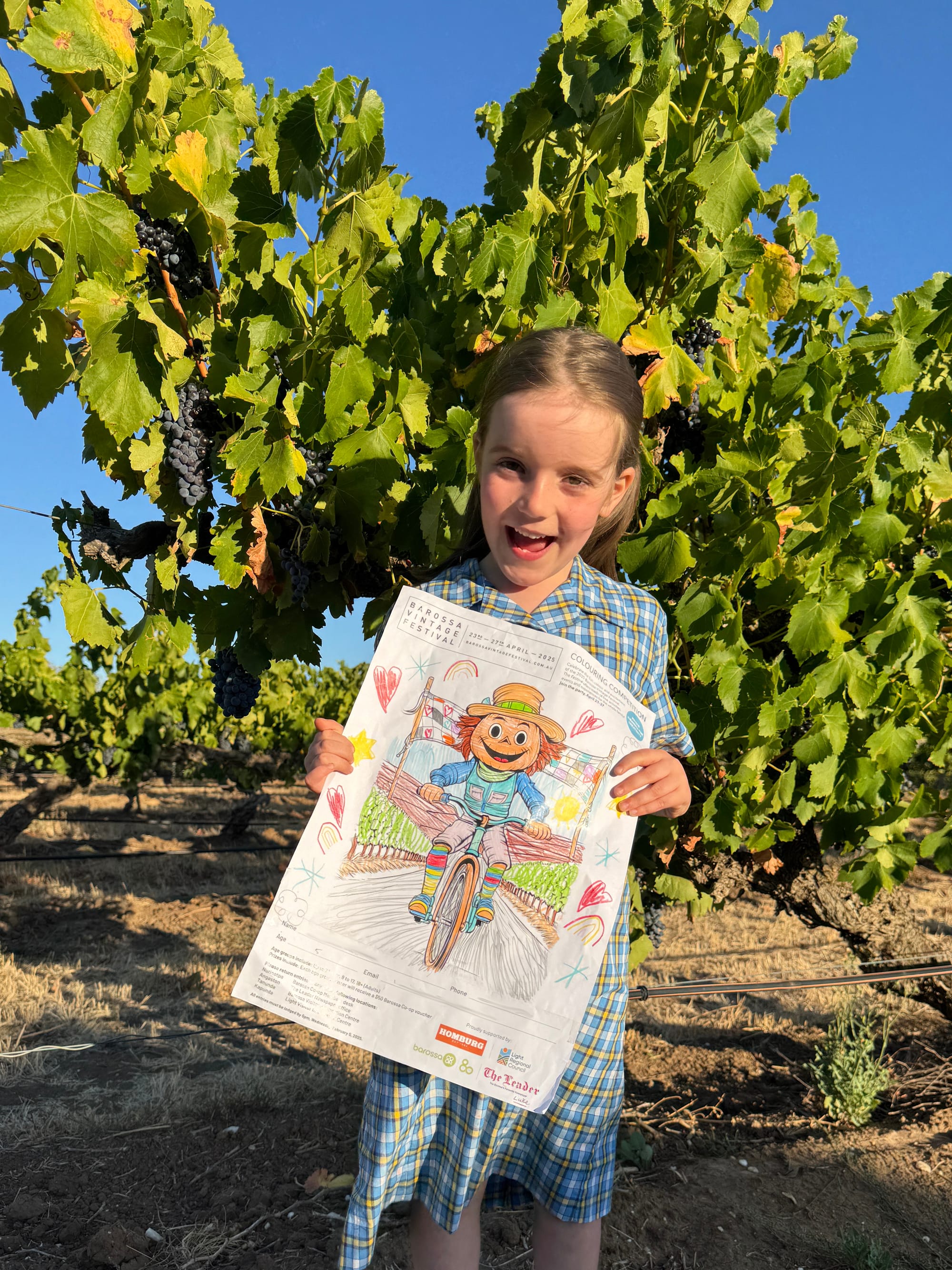 Adding colour to the Barossa Vintage Festival