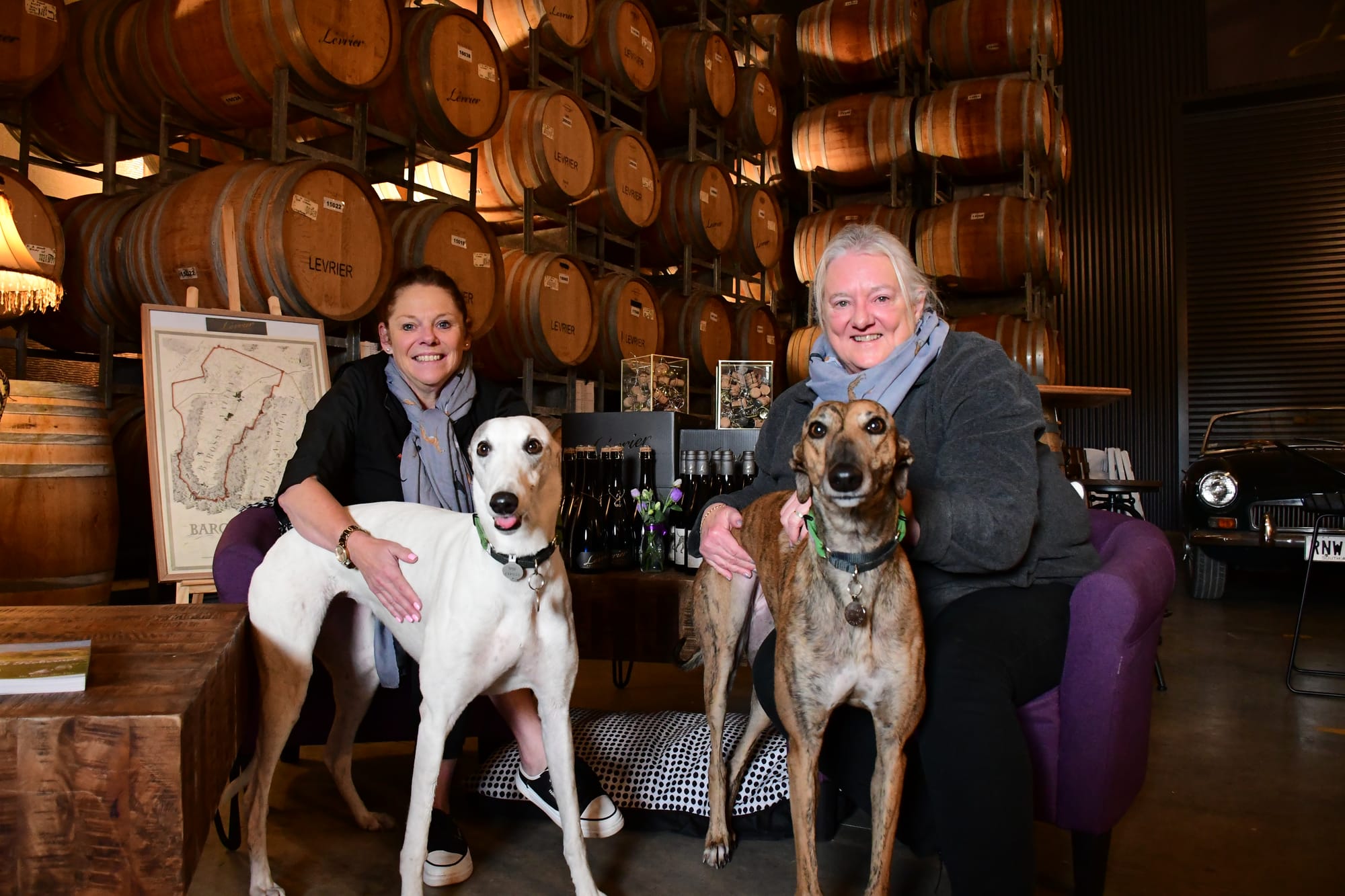 The most paw-some day of the year