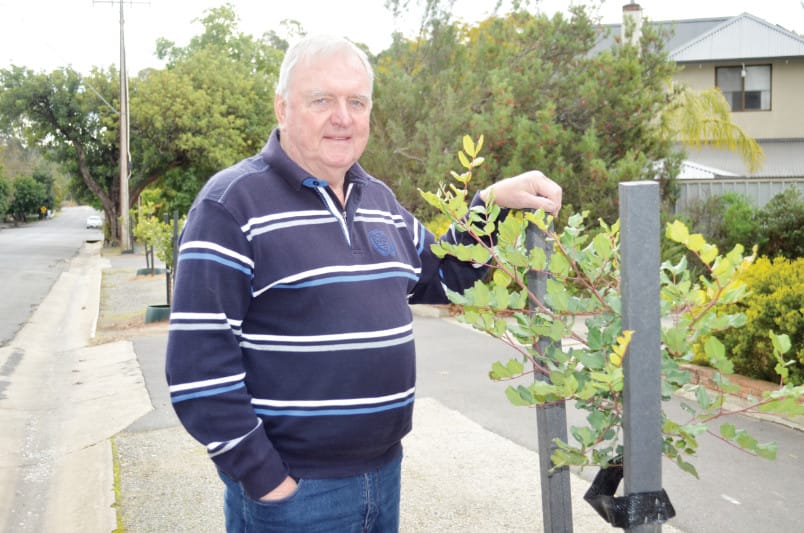 Spend grant funding on trees says Barossa councillor