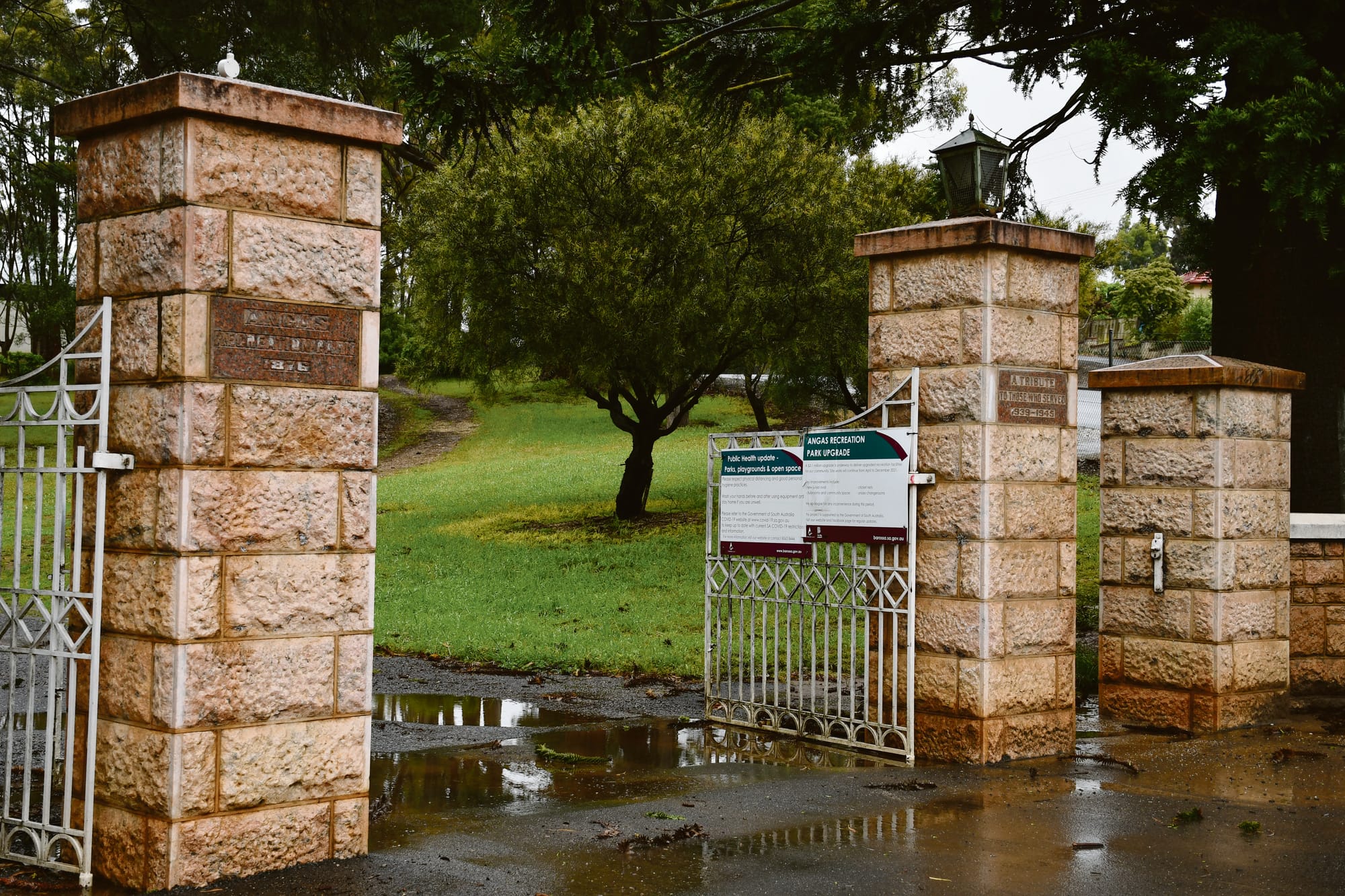 Tree damaged historical light