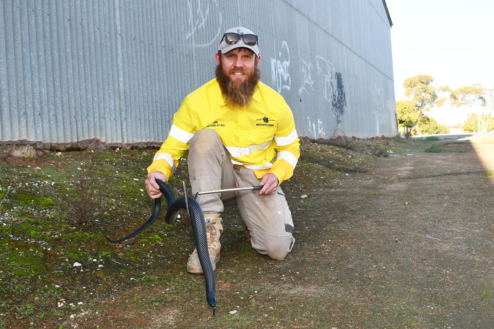 Myth-busting snakes this Spring