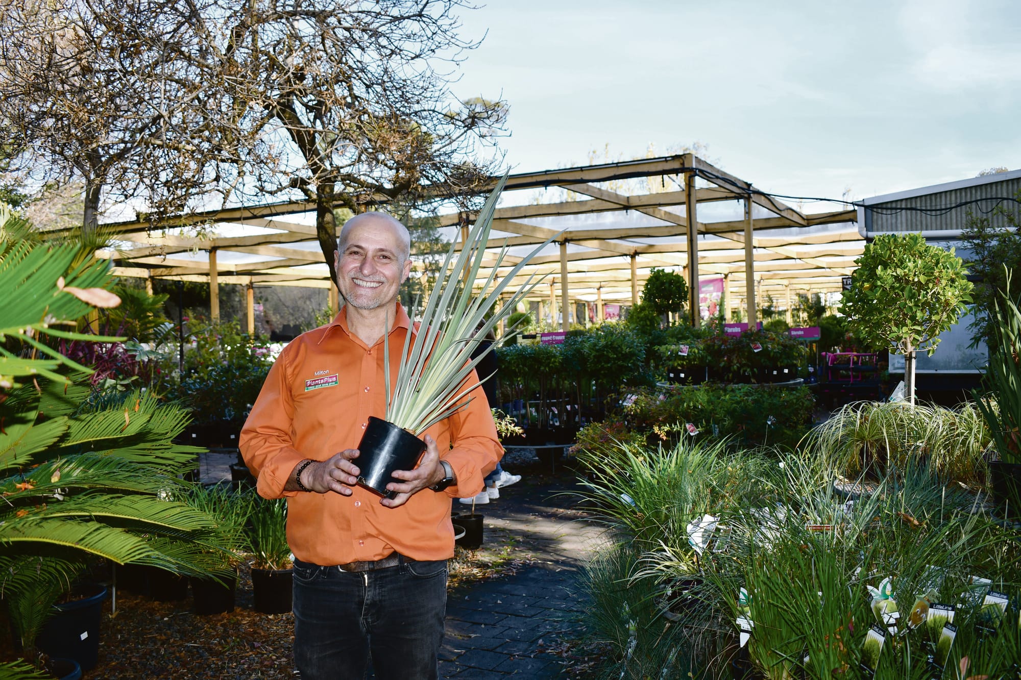 Retirement rings for Vadoulis