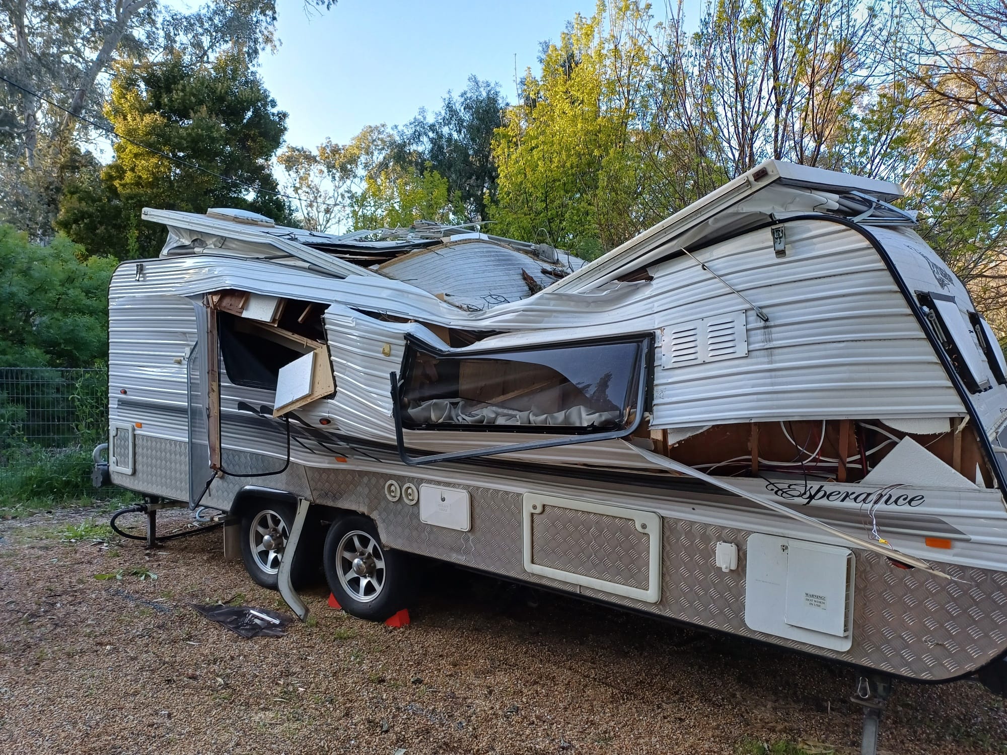 Safety concerns prompts pine tree removal