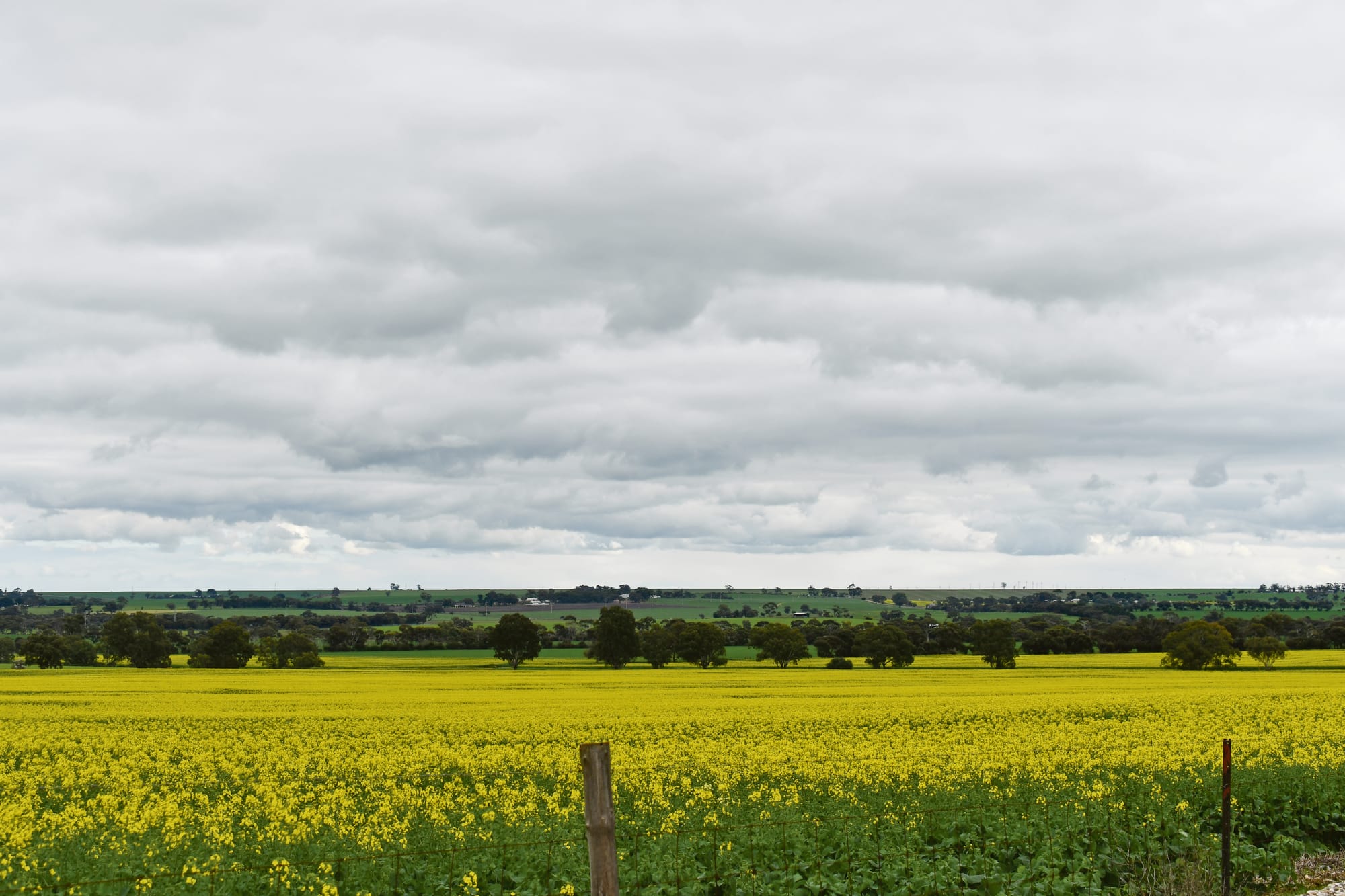 Improved prospects for grain growers