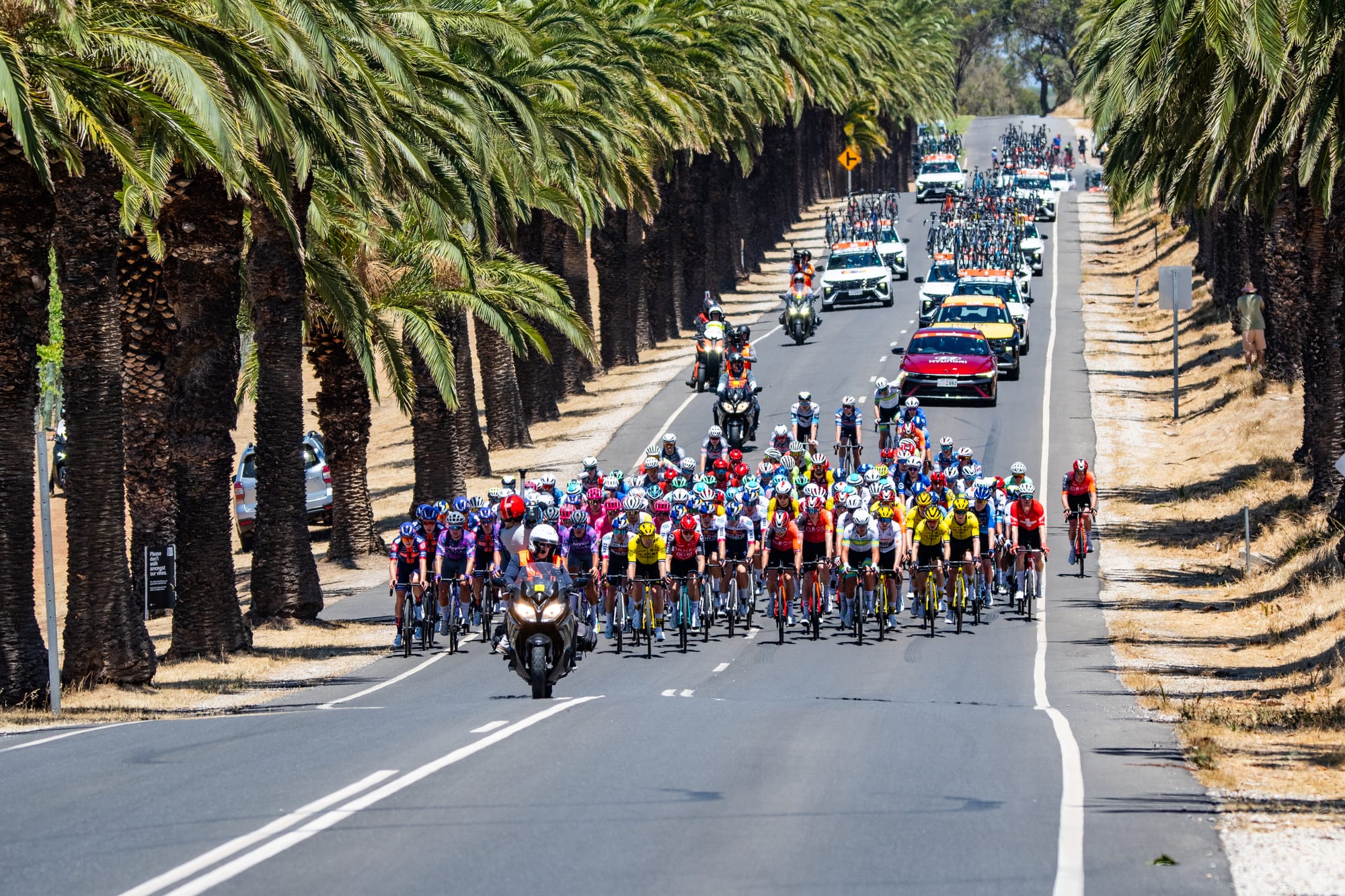 A showcase of world class cycling in the Barossa