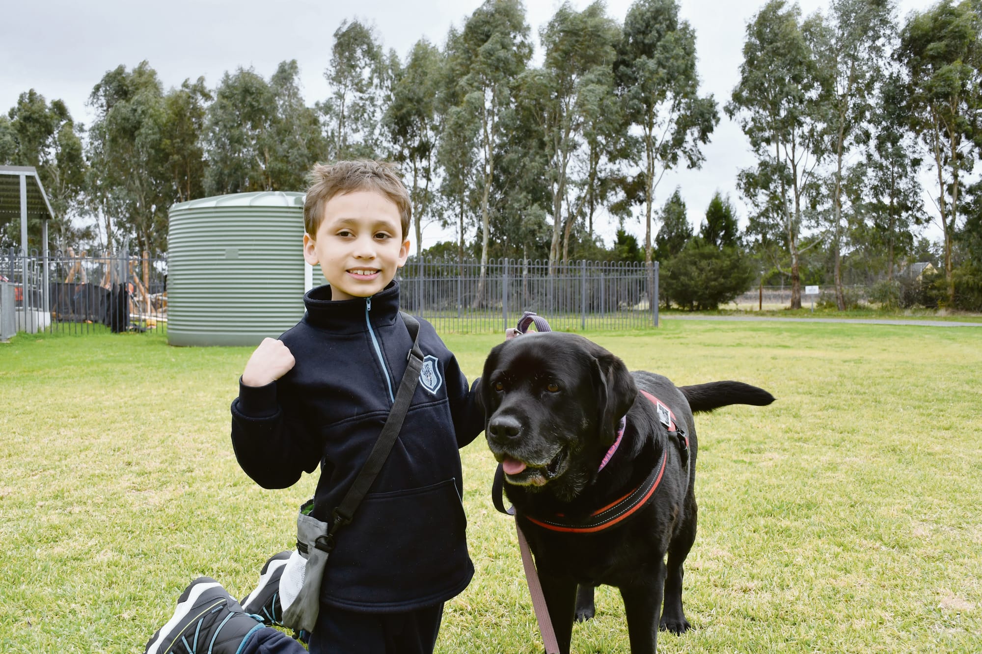 The power of a gentle paw