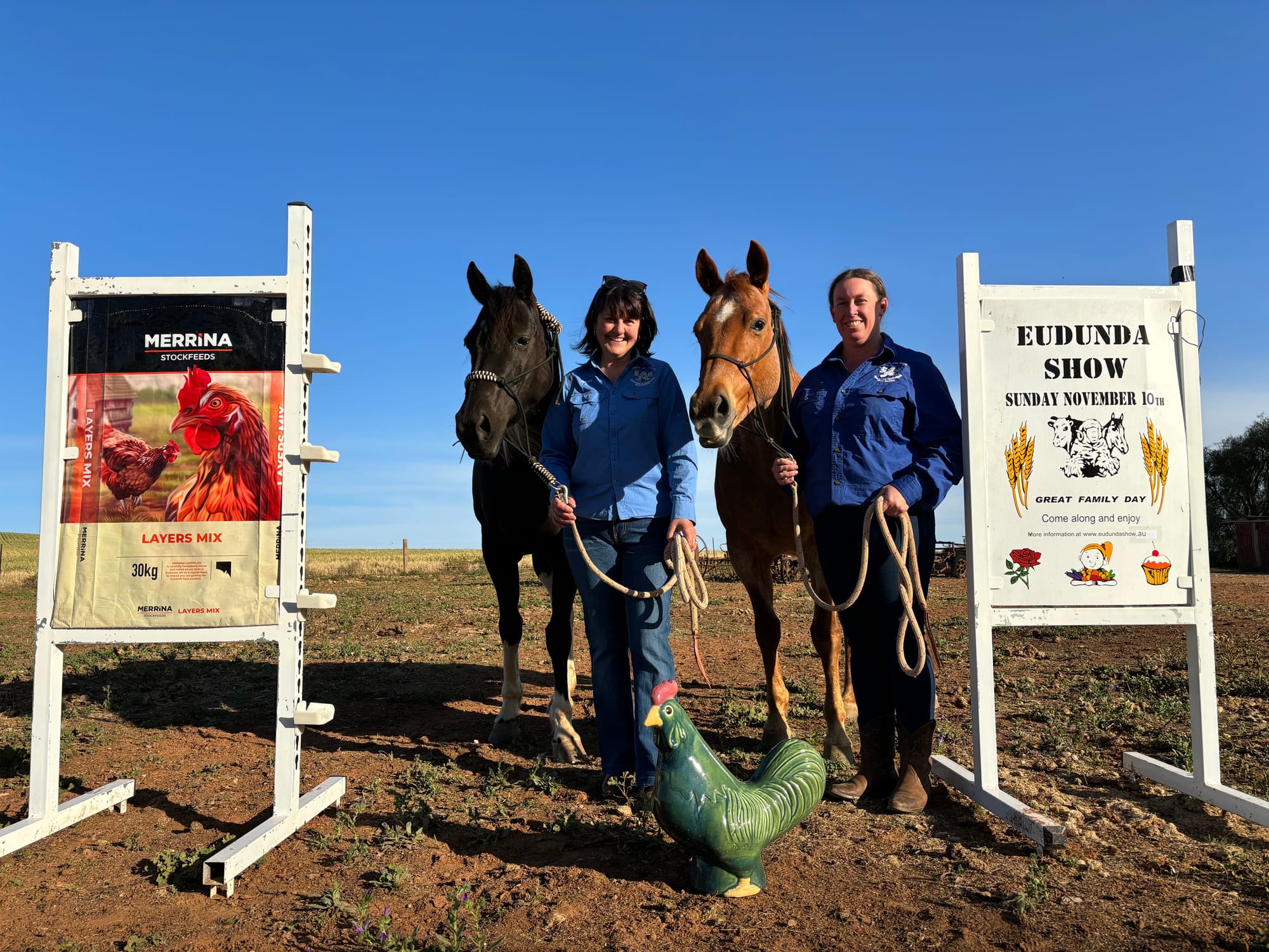 Variety on show at Horses in Action