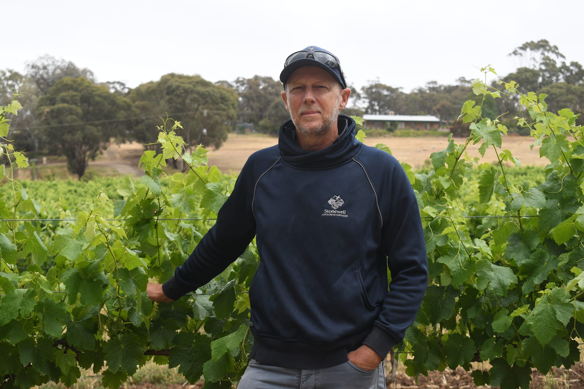 Slow recovery from early frosts