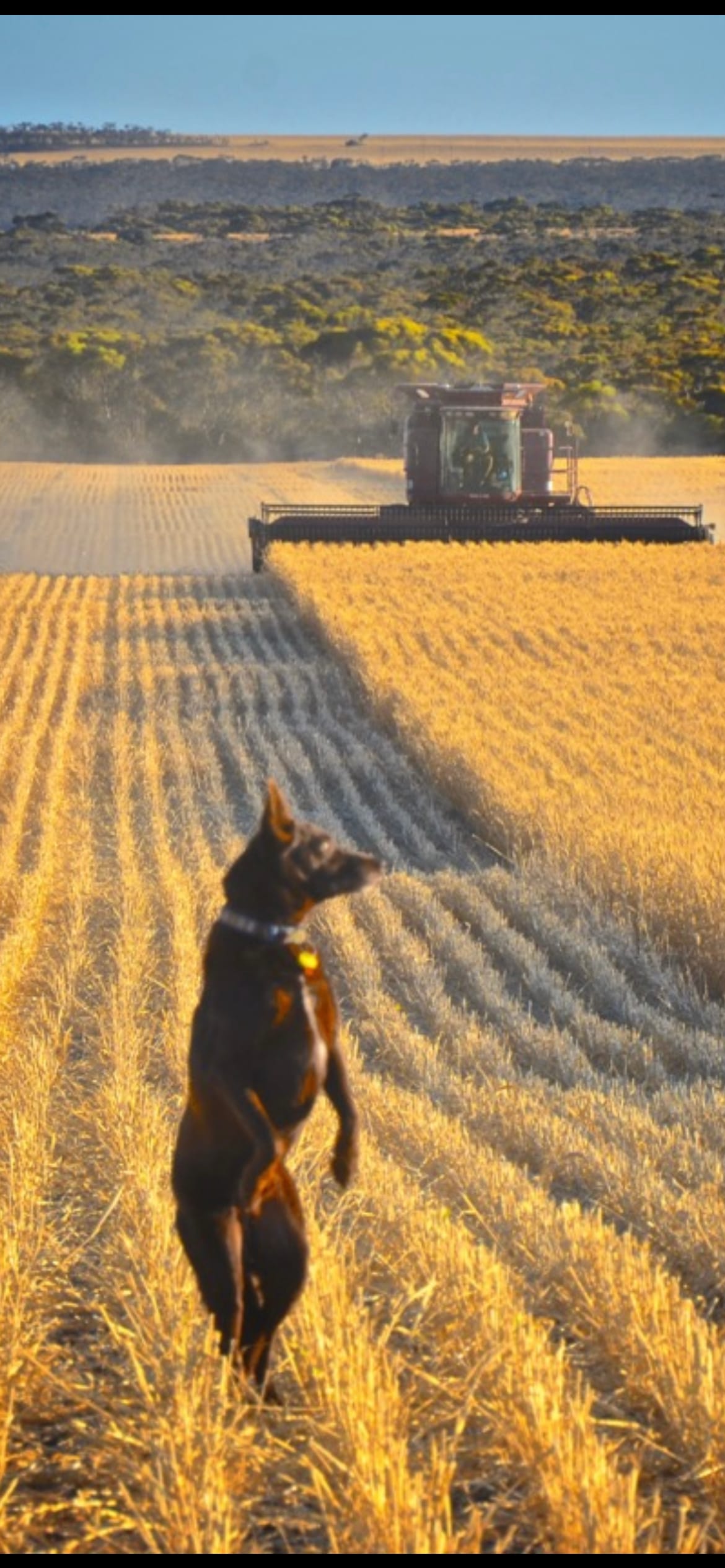 Barker Best Photo competition opens