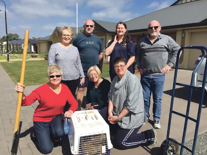 A strange sight in Nuriootpa