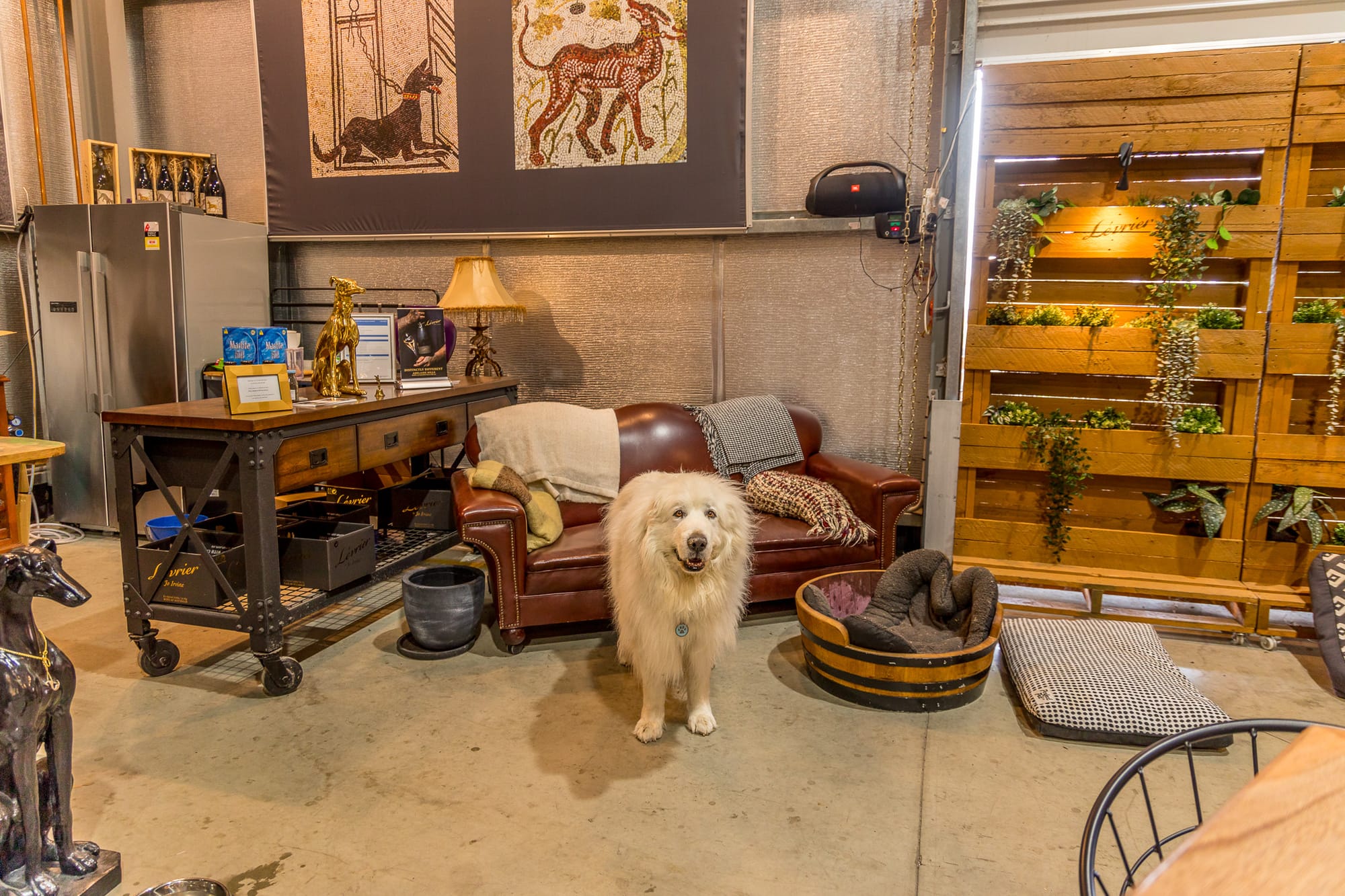 Dog friendly Barossa wineries feature in new book