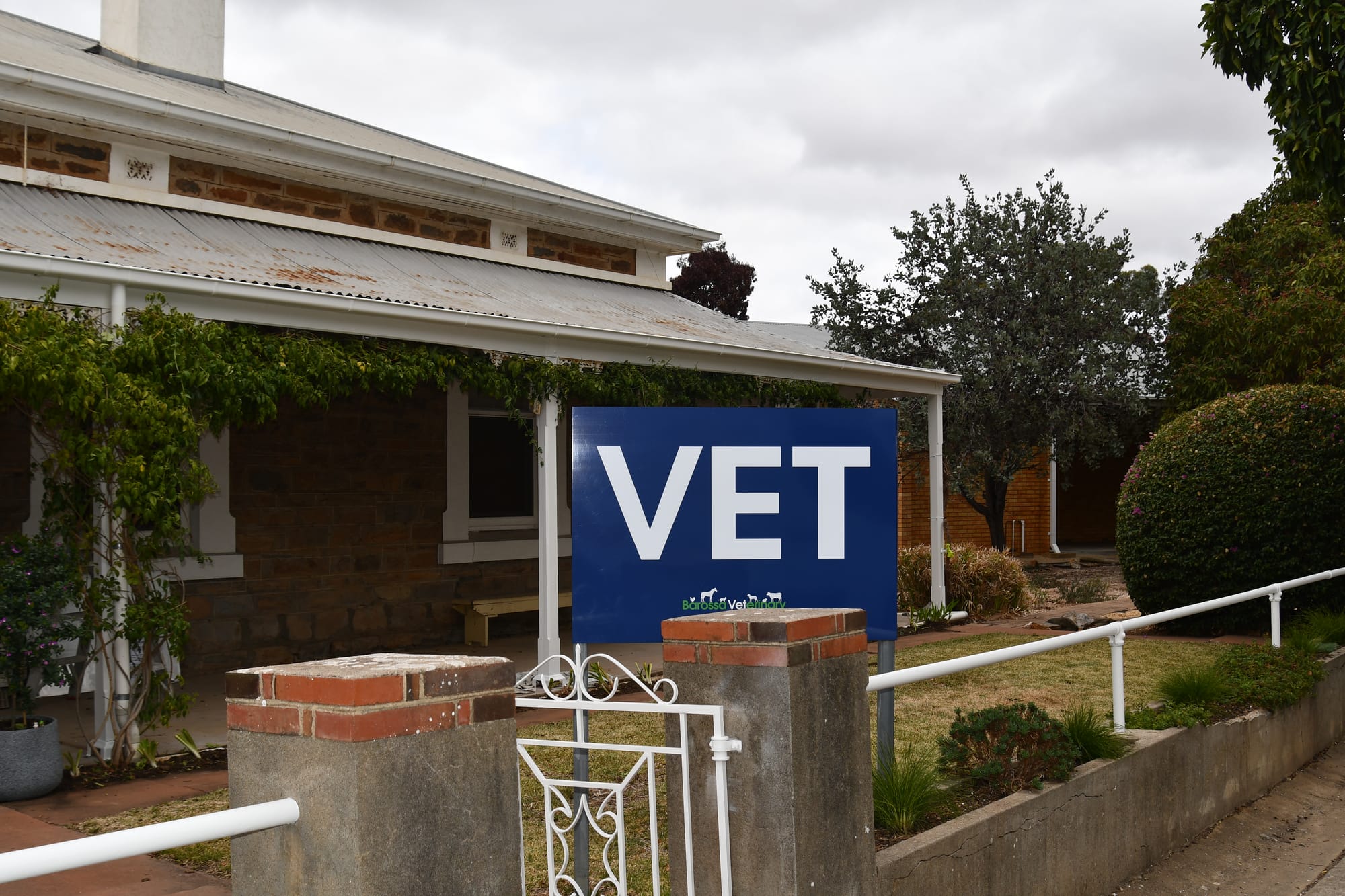 Prioritising workplace culture and professionalism