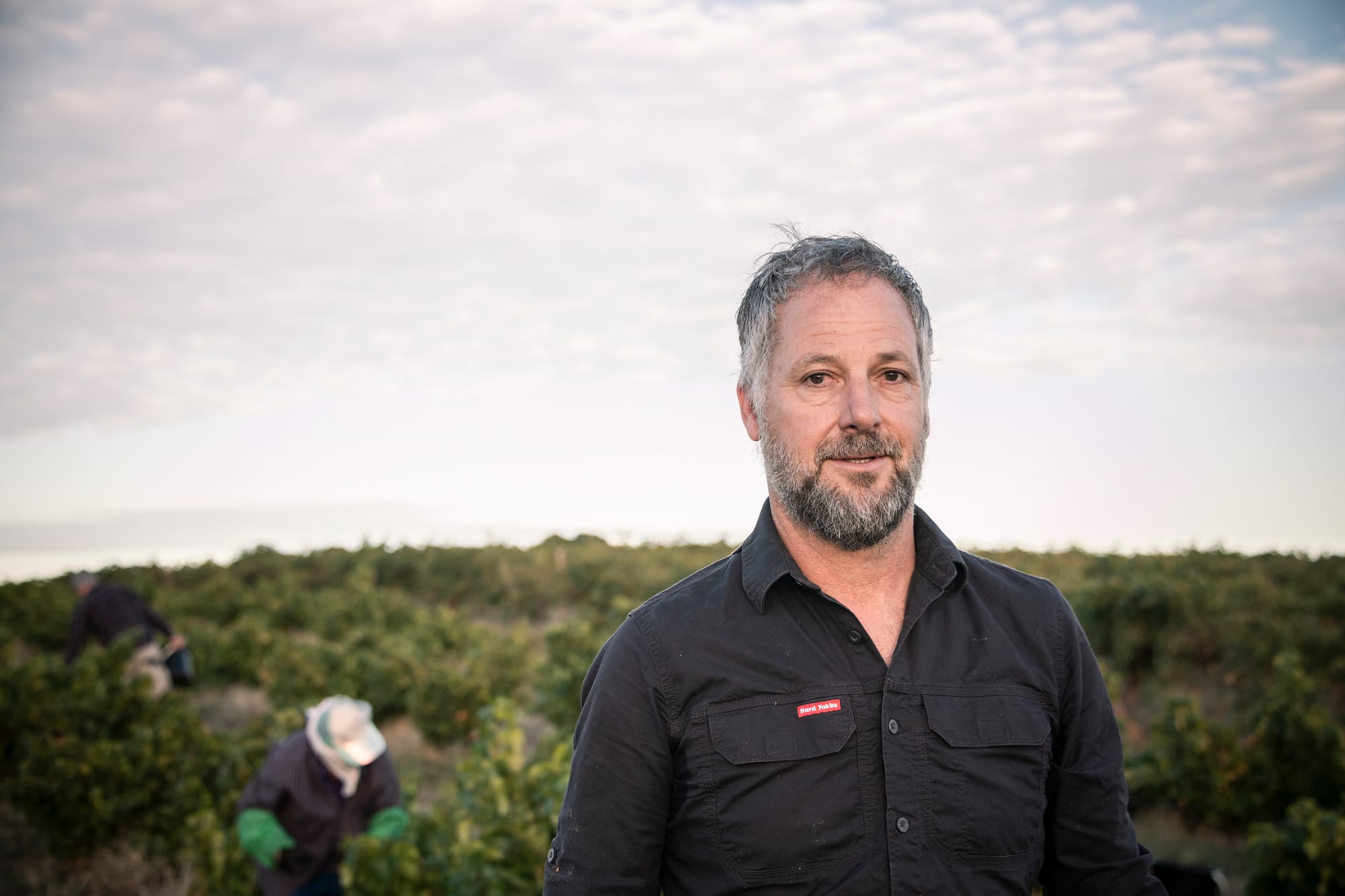 India and Vietnam on the radar for wine exports