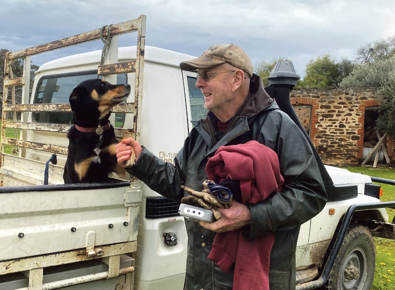 Sometimes things can get a bit ruff!