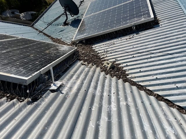 Protecting your property’s gutters