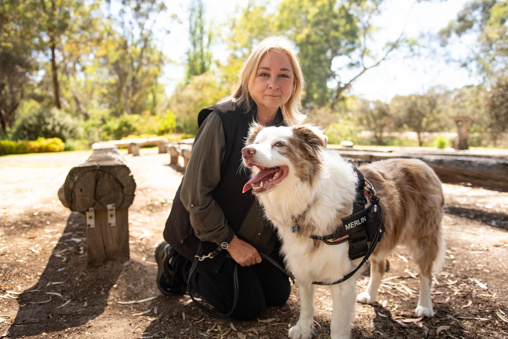 Paws for thought: Pets are family not a Christmas surprise