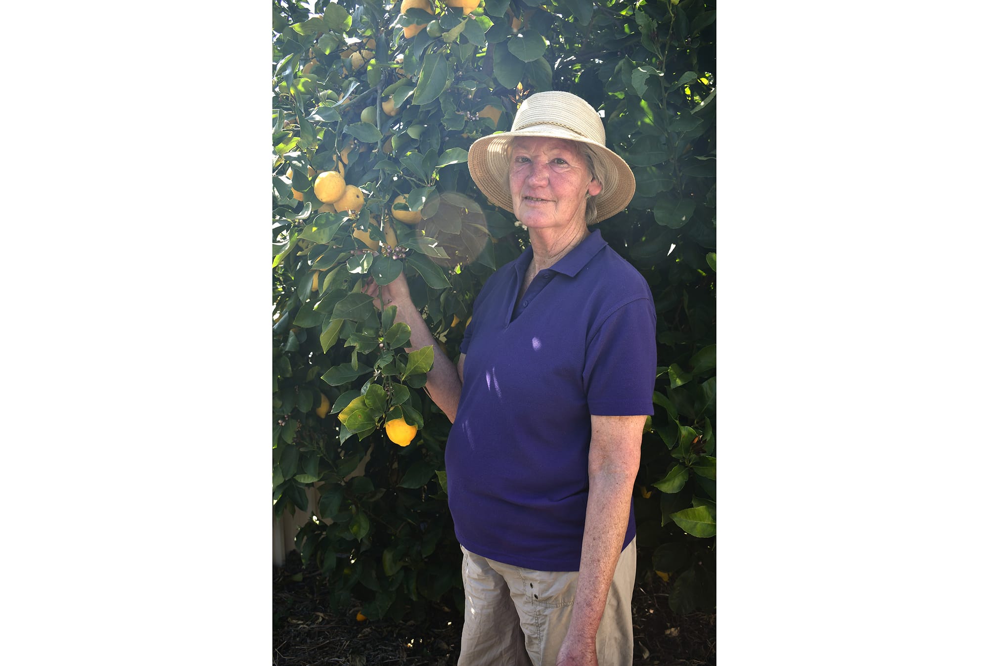 Travellers advised to leave their fruit at home