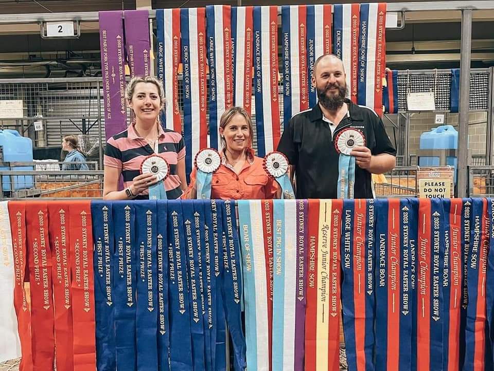 Gumshire Hampshire top bacon at Sydney Royal