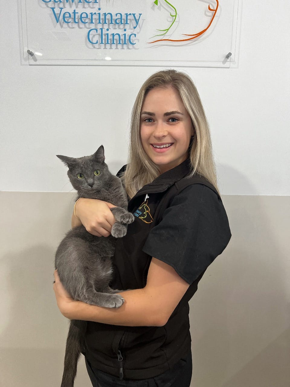 COVID calls the shots in cat vaccine shortage