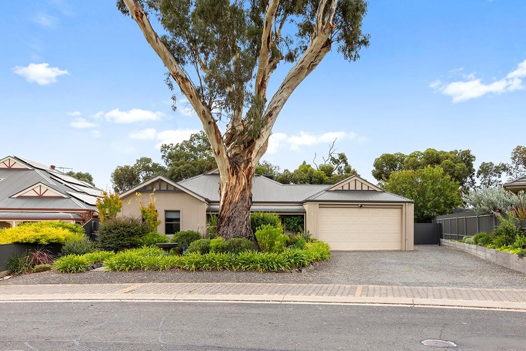 Huge block, great shed, wonderful home