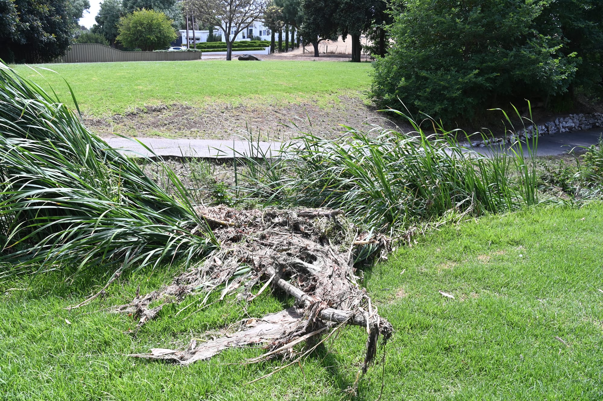 Angaston creek congestion to be cleared