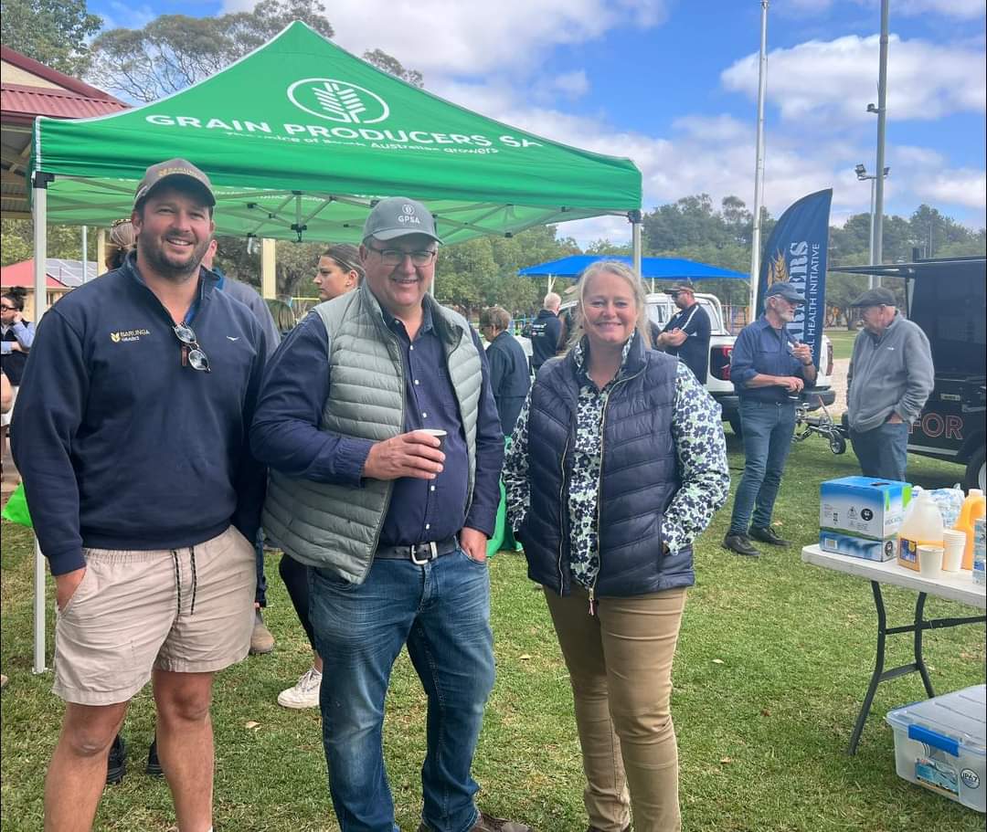 Projections show SA grain harvest contributions down by more than $1bn