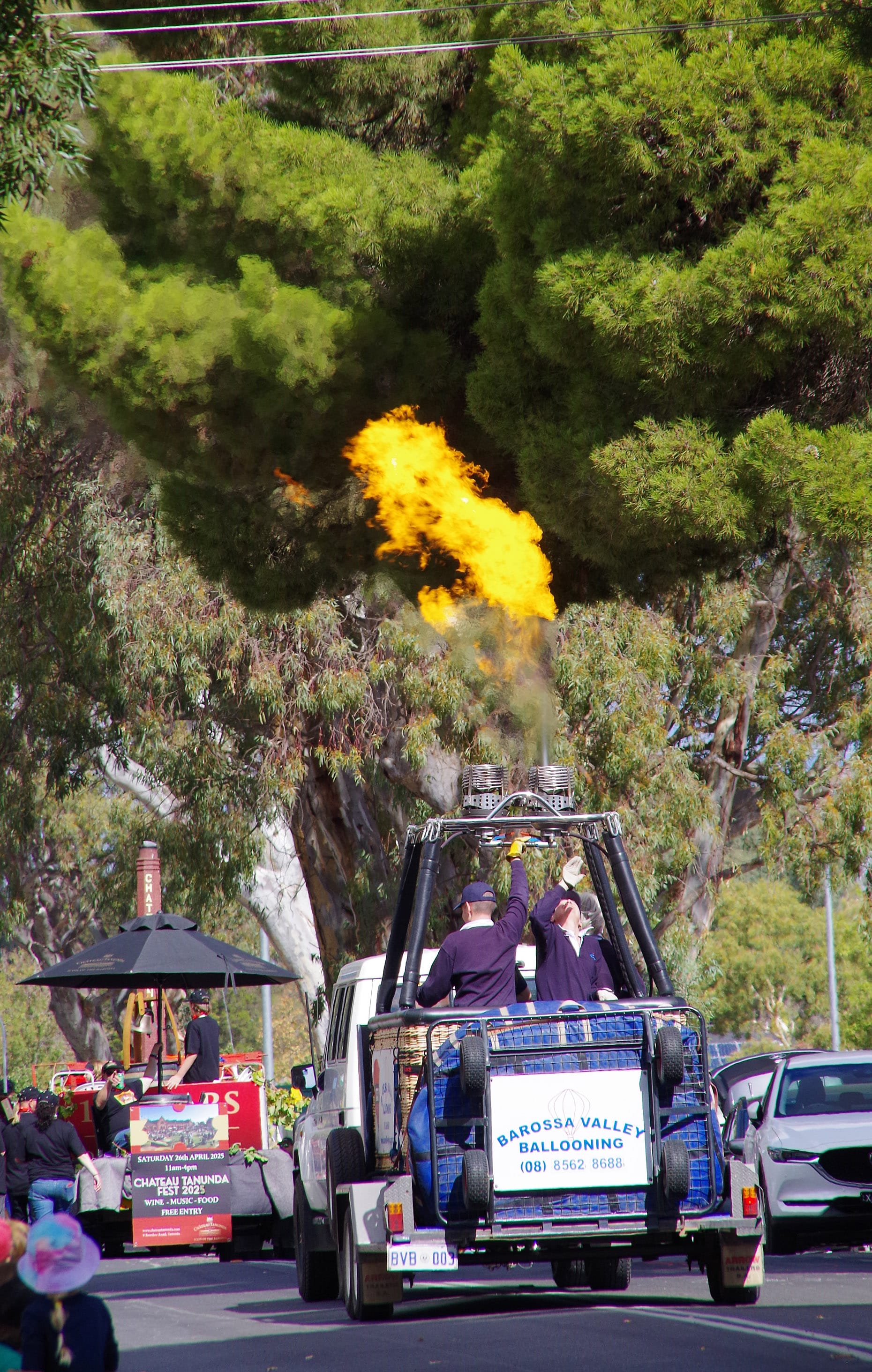 Barossa Valley Ballooning. Photo by Di Hensel.