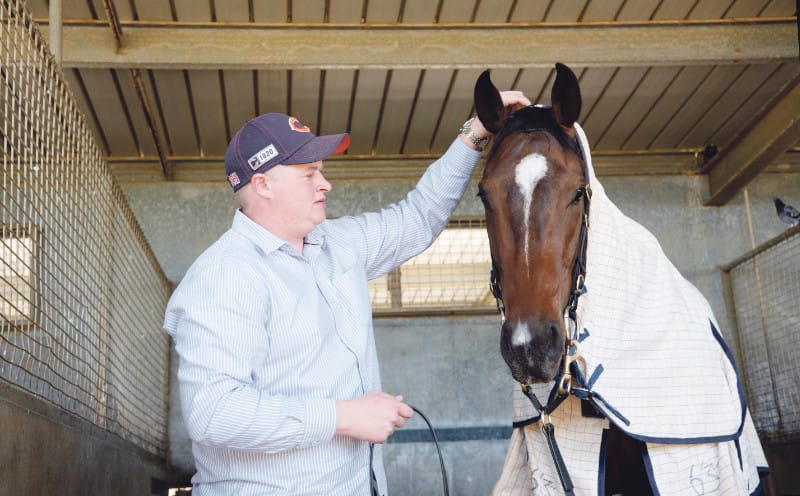 McEvoys shut down historic stables at Angaston