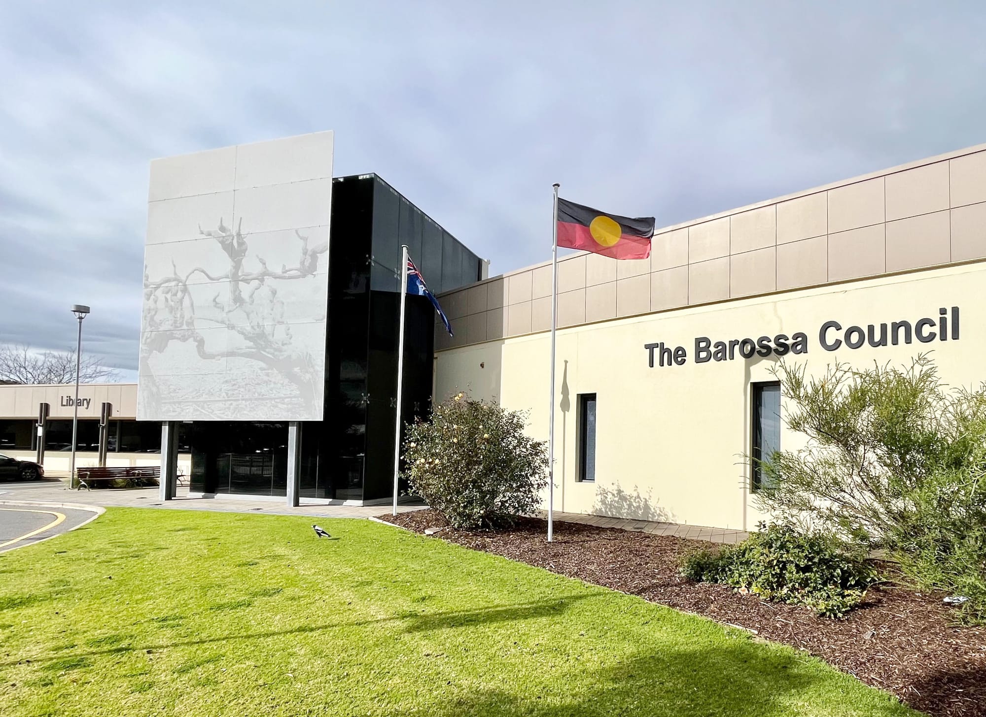 Council candidates revealed