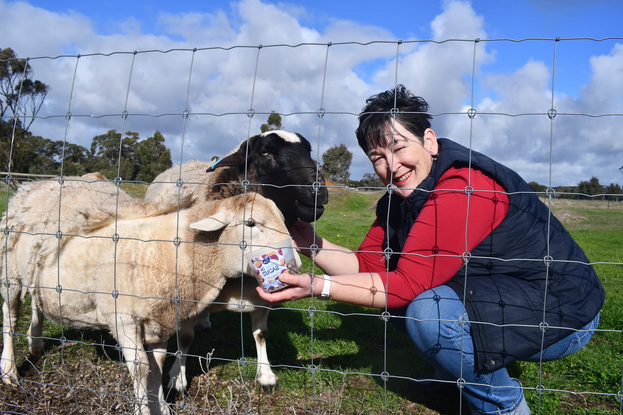 Keeping sheep and goats on track