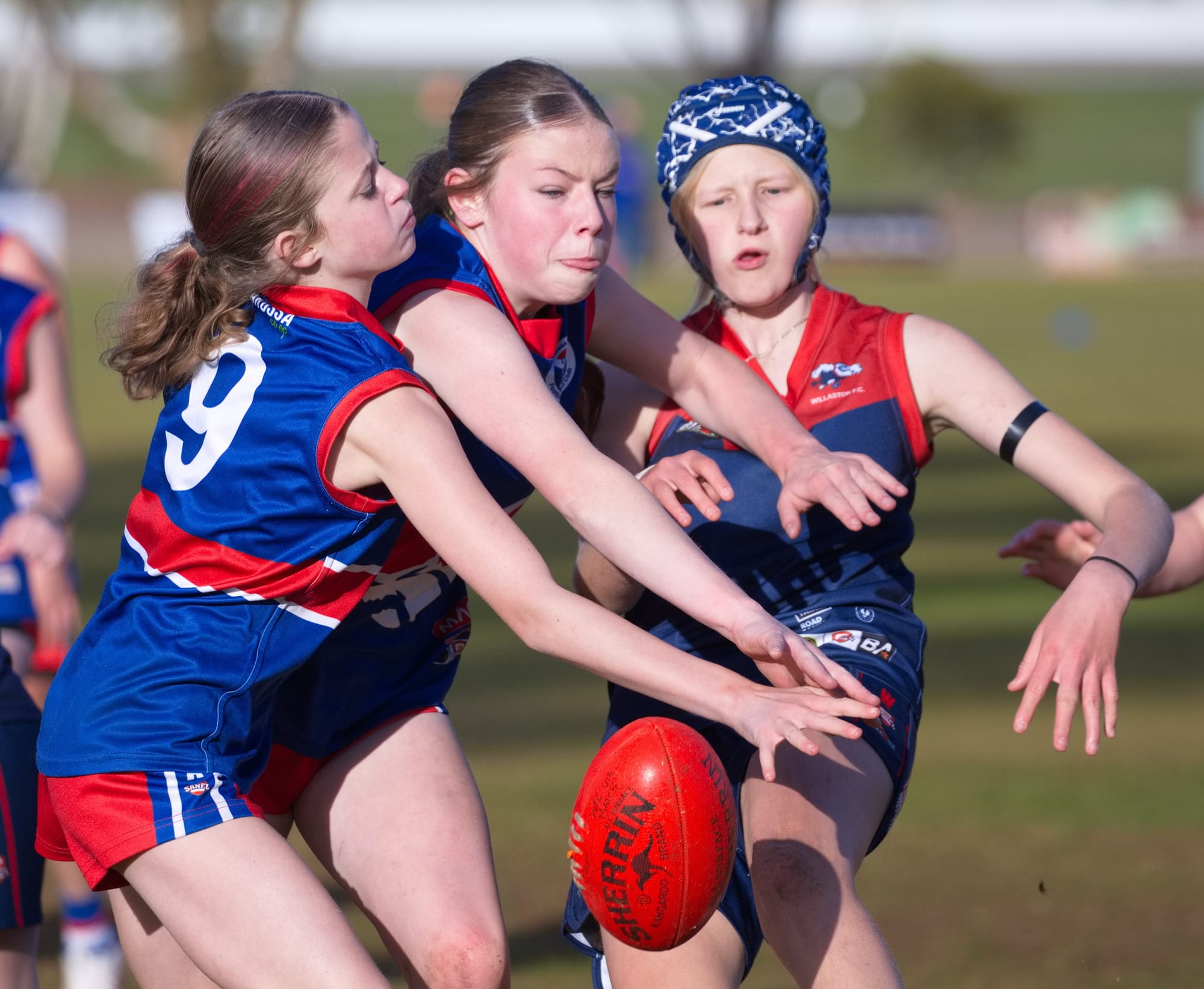 New pathway being forged for young female footballers
