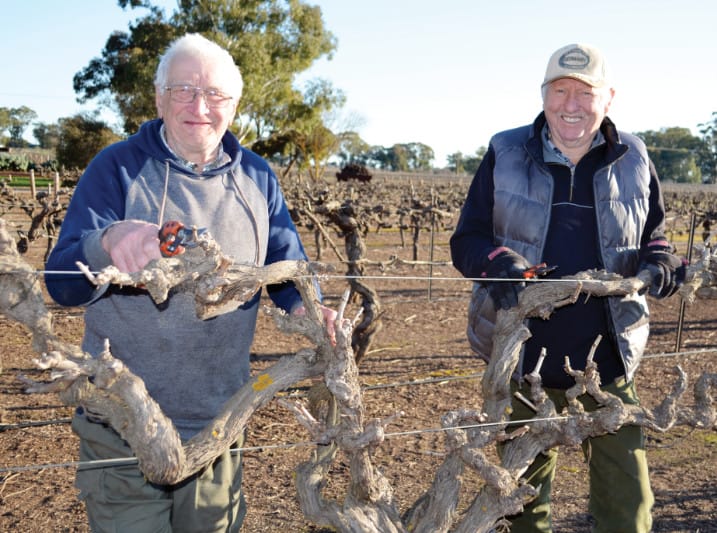 Age no barrier to vineyard pruning