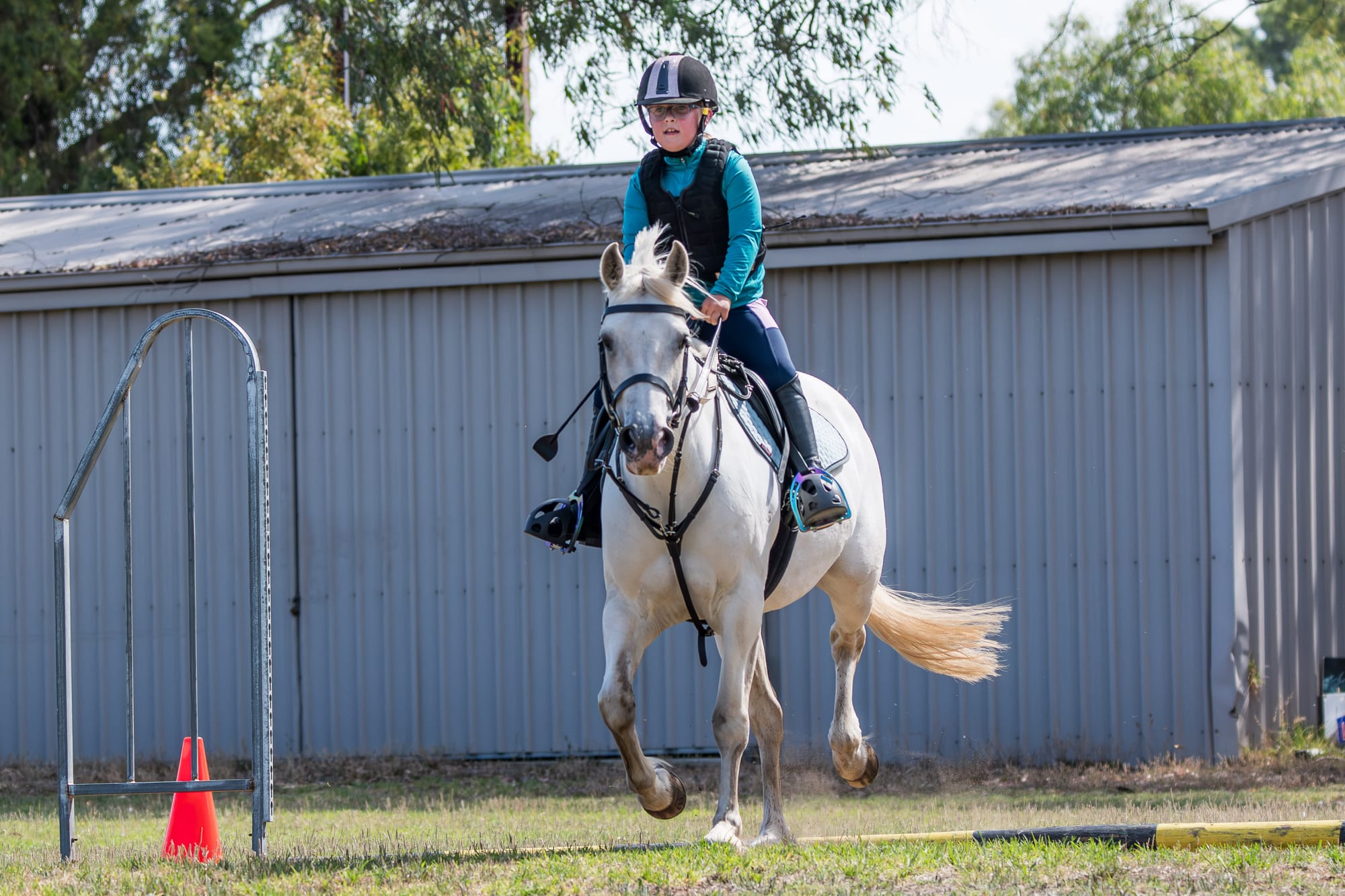 Mt Pleasant Pony Club hosts debut event for 2025