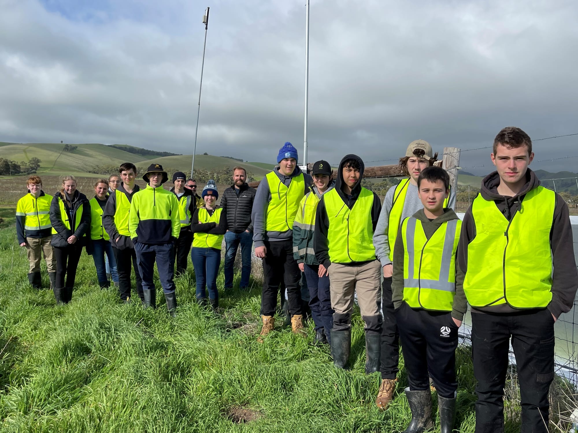 Work experience in the vines