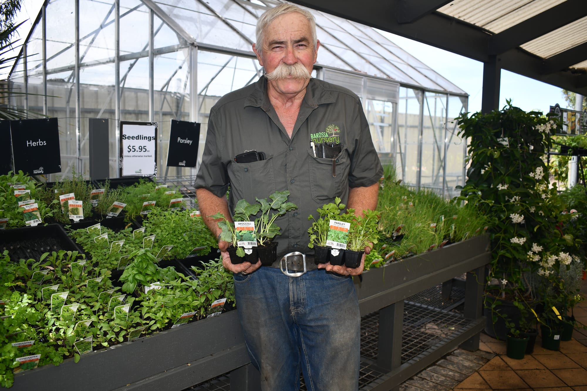 Home growers slash supermarket bills