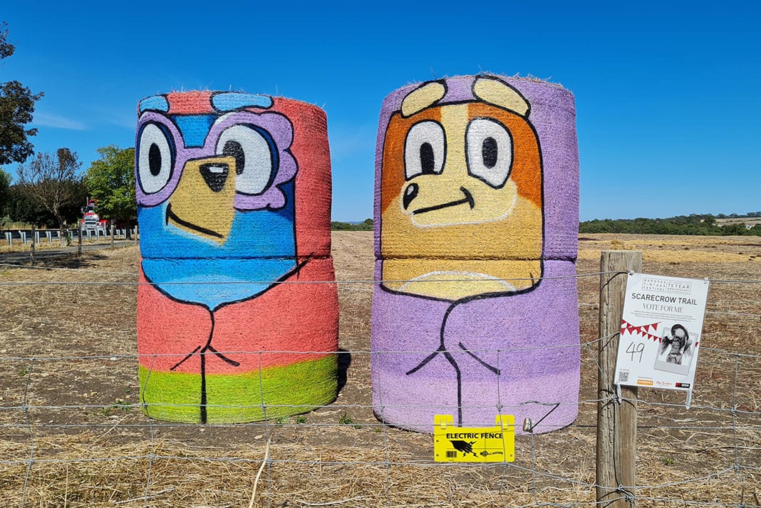 Scarecrow at Rifle Range. Photo by Sandie McConnell