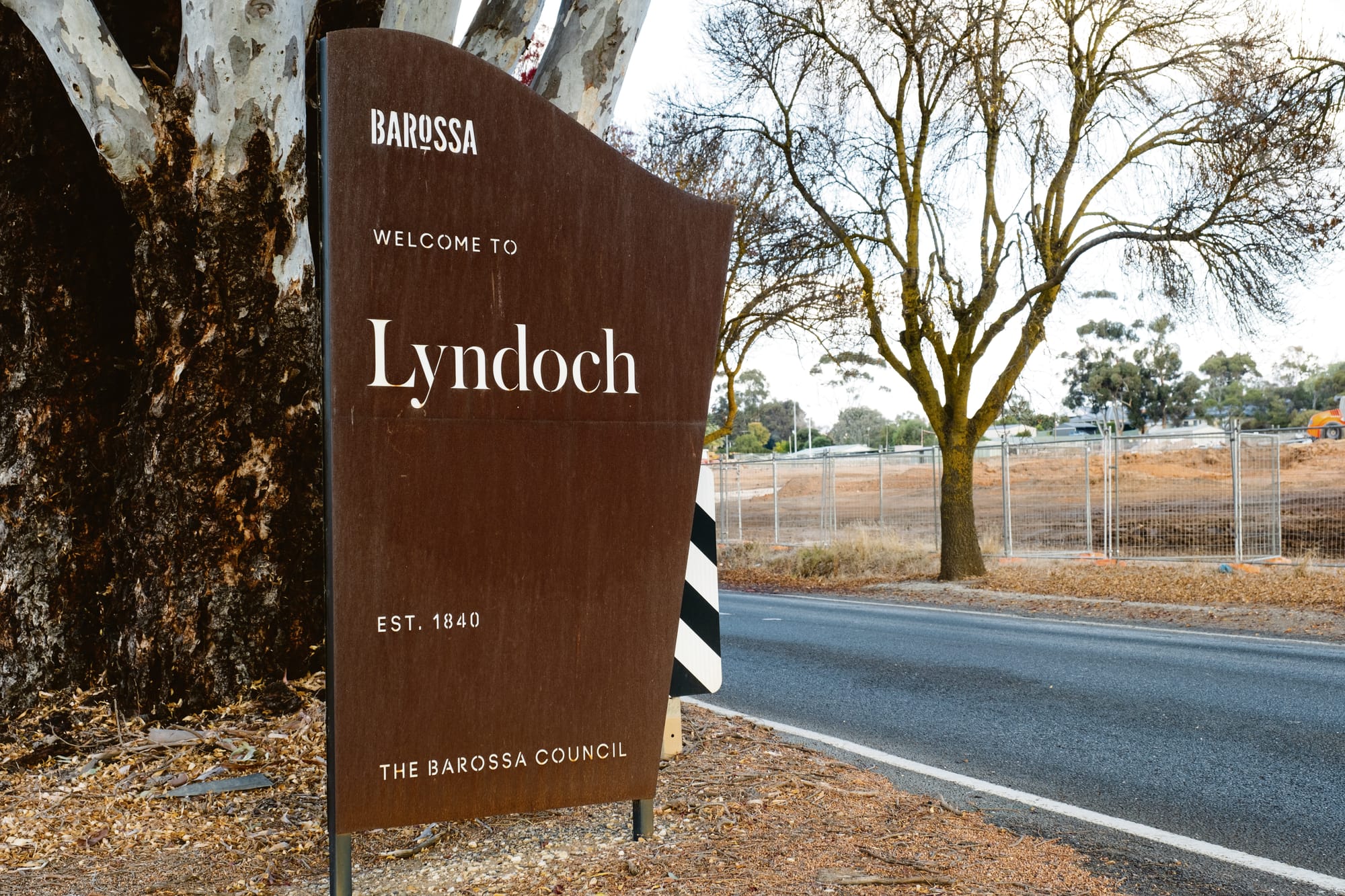 Residents fear hostile dogs