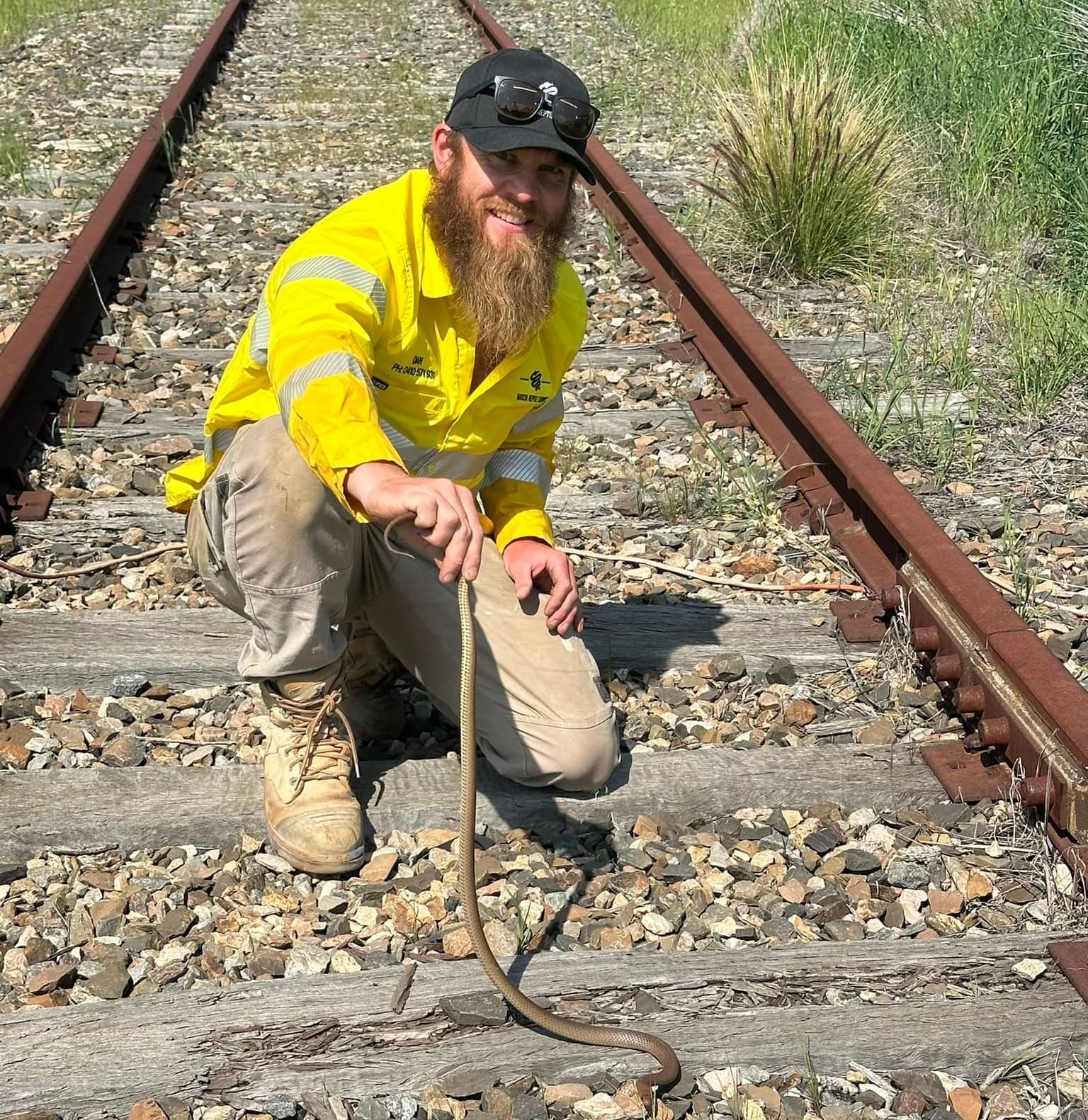 Protecting pets and people from snake bites