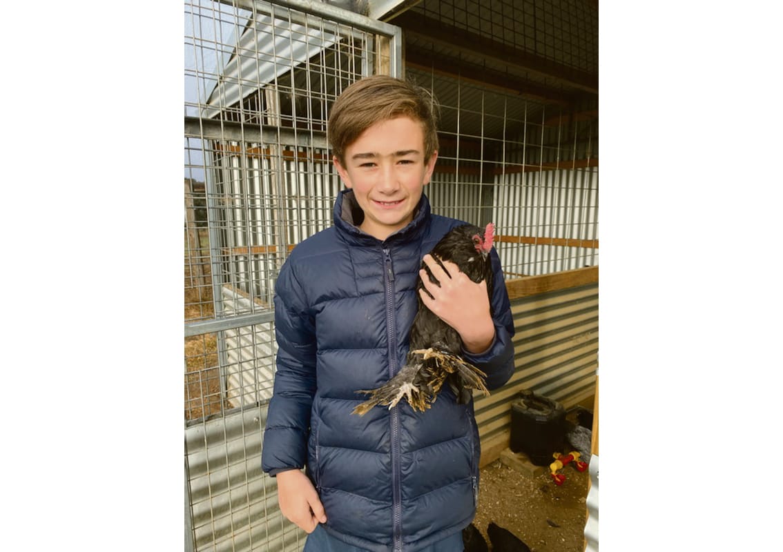 Sidney spoils his lucky chooks