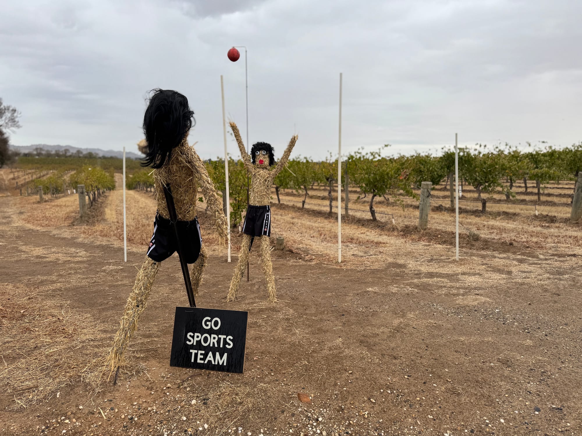 Go Sports Team, Tanunda.