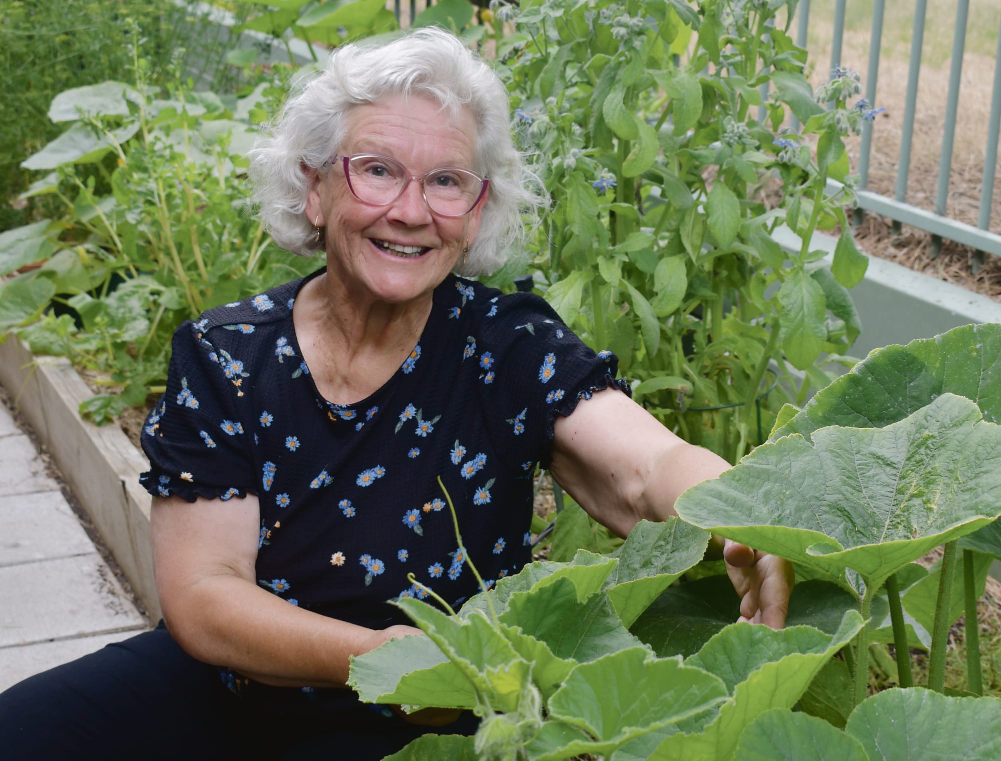 Grow your own greens safely