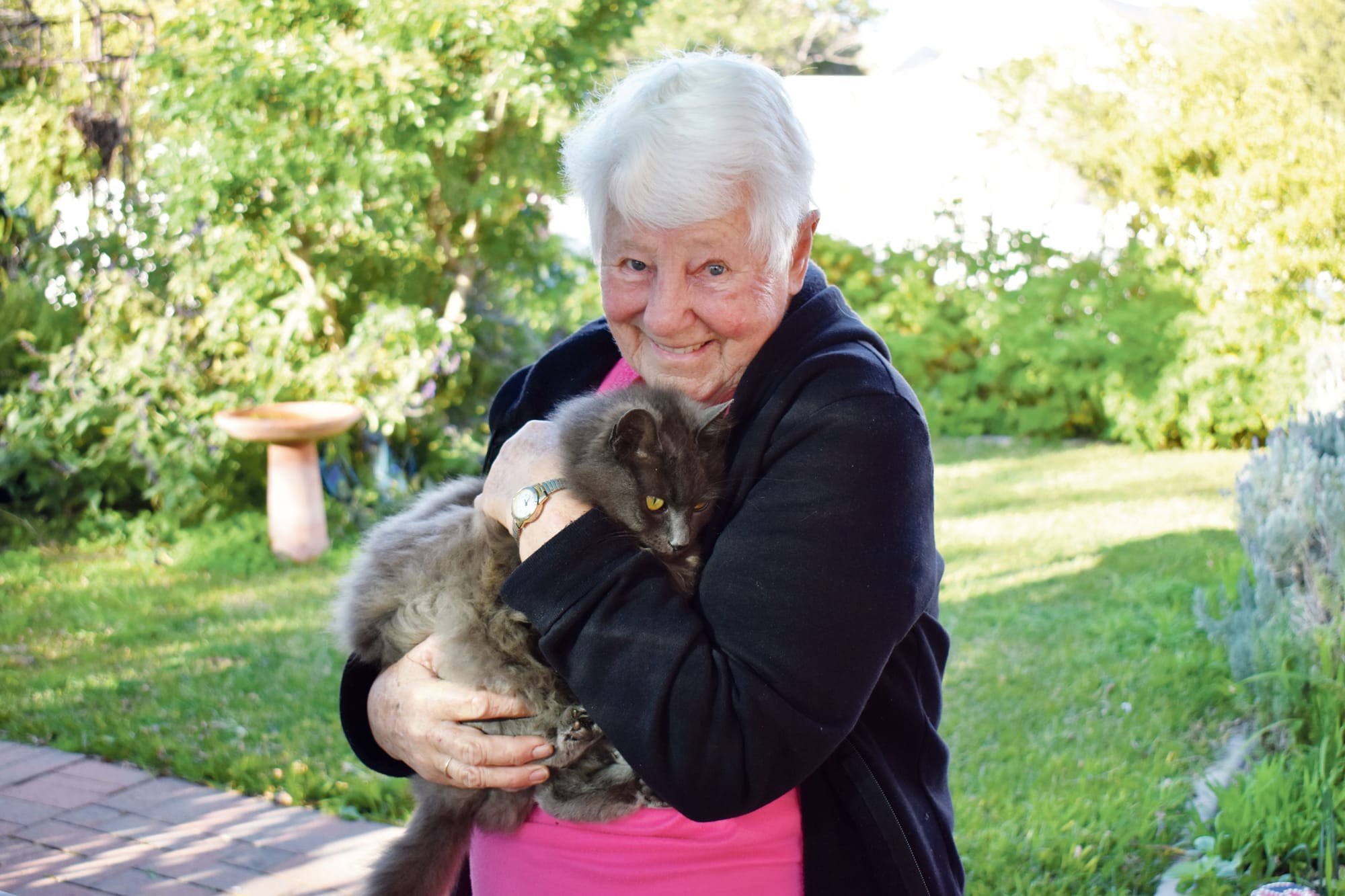 Beloved Puss Puss returns