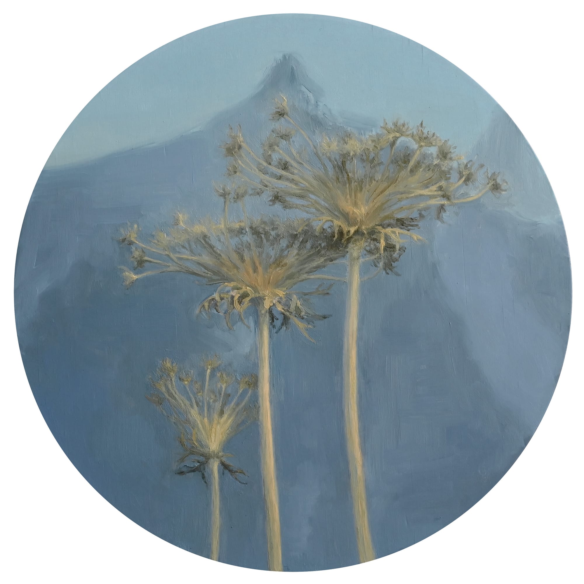 SALA: A Series of Solos for SALA 2024