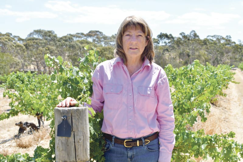 Henschke lose Lenswood vineyard to fire