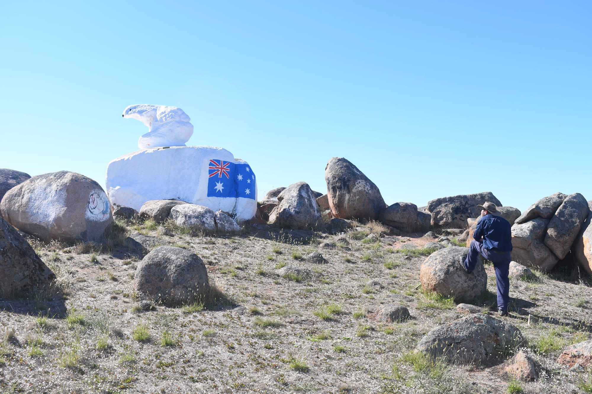 A worthy flag bear-er for Palmer