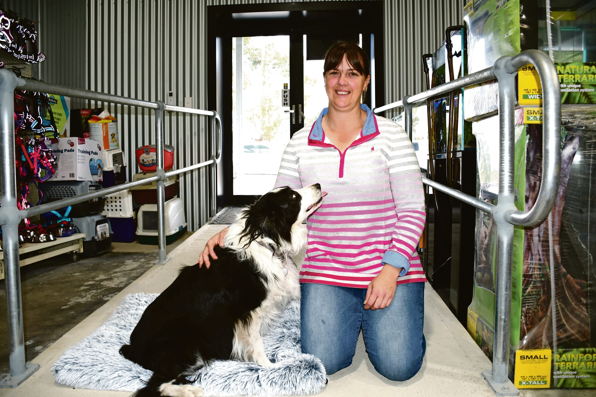 Keeping your pets comfy this winter